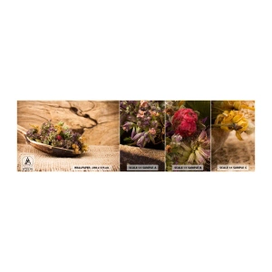 Vzor Fototapety Samolepicí Deluxe Sticker - Barevné kvítí a voňavé bylinky - Příroda, Sušené bylinky, Kuchyně - 100x30 cm