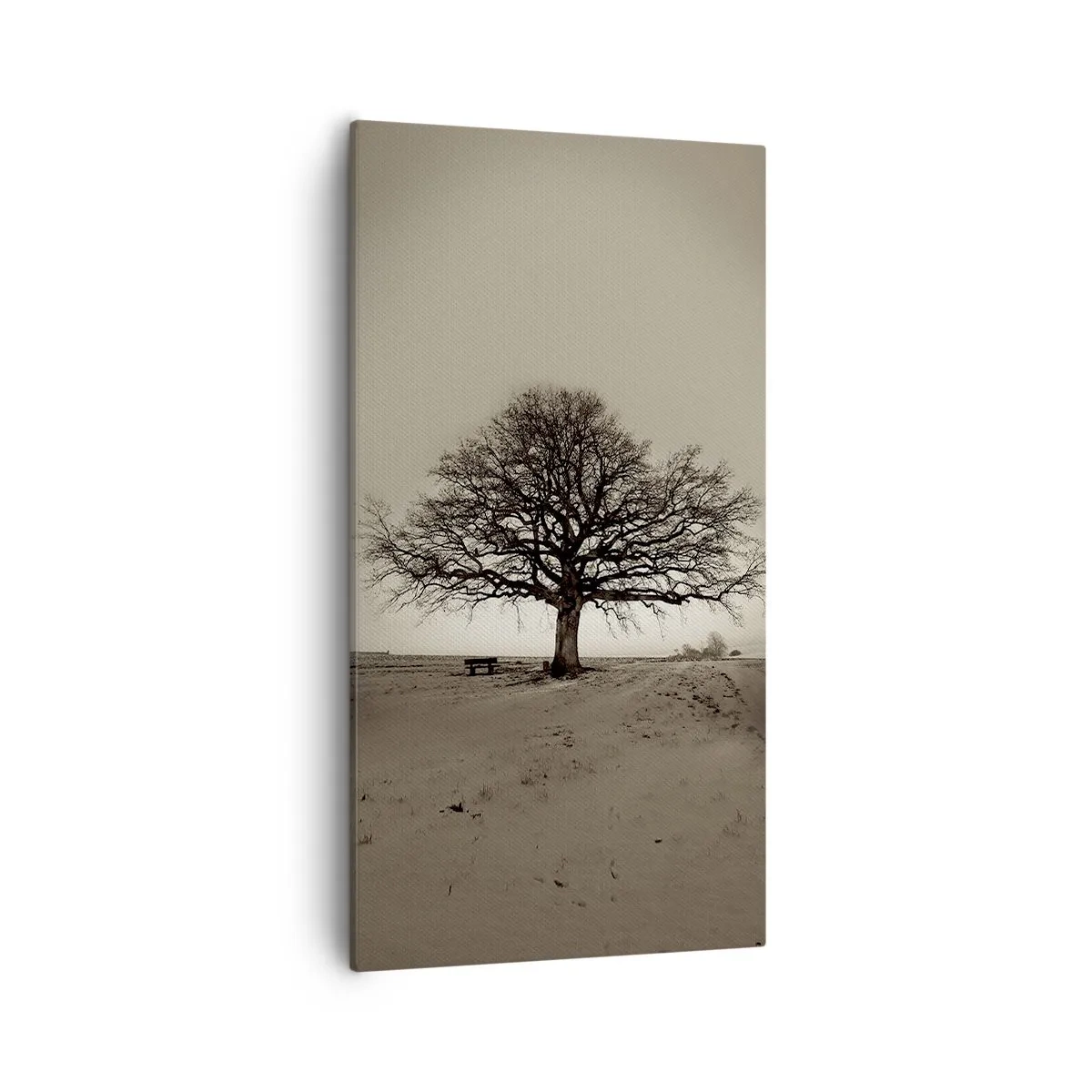 Obraz na plátně - Odtud až na věčnost - 55x100 cm