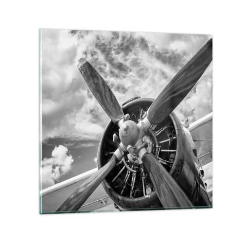 Obraz na skle - Dobyvatel oblohy - 50x50 cm