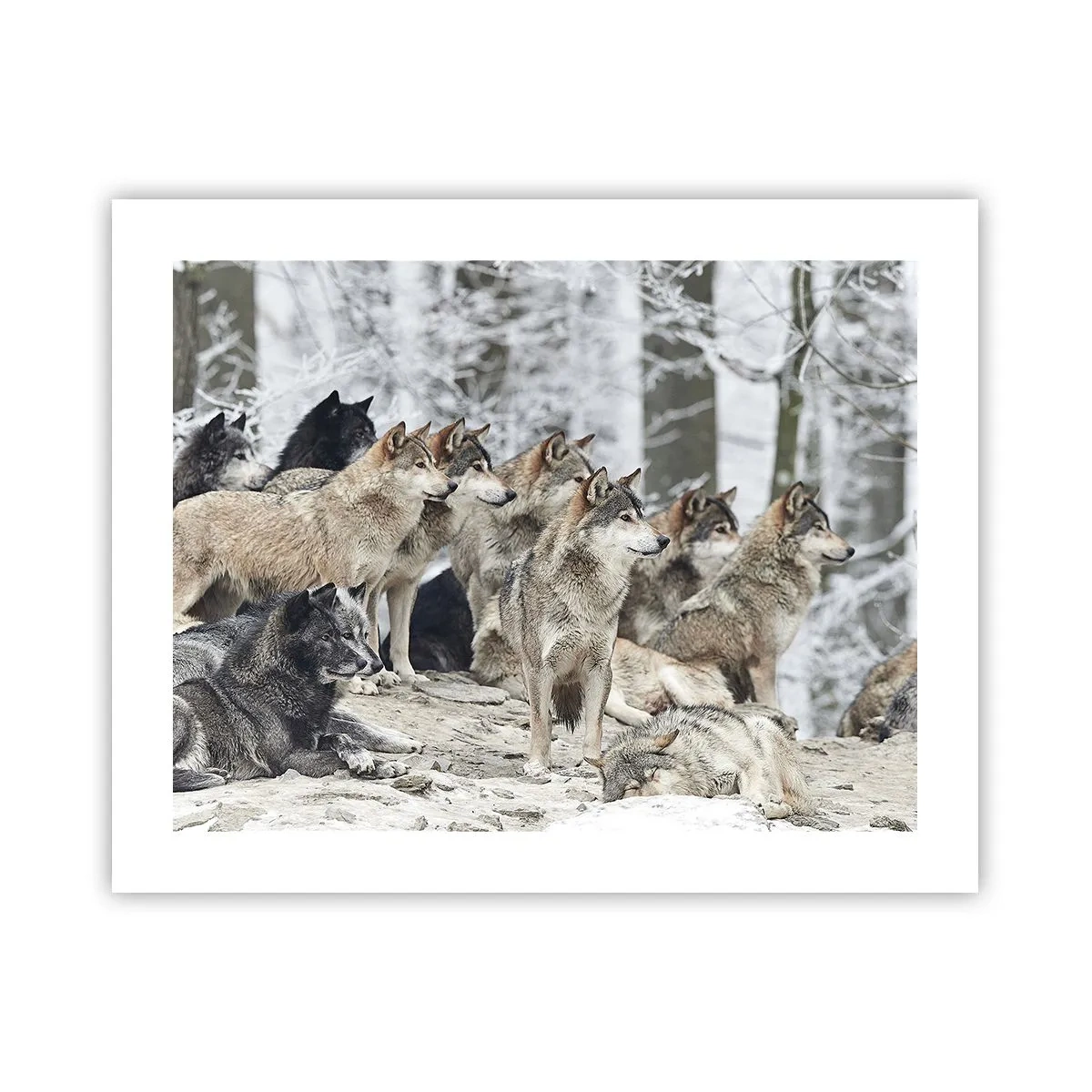 Plakát - Rodina a přátelé - 50x40 cm