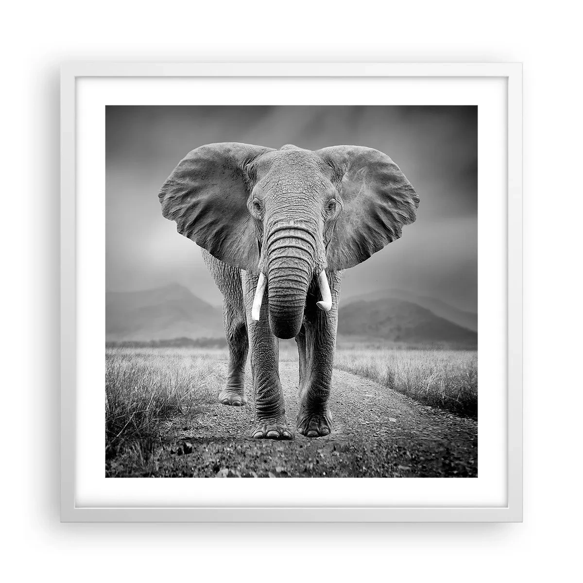 Plakát v bílém rámu - Hostitel vítá - 50x50 cm