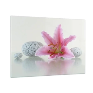 Obraz na skle - Studie v růžové, šedé a bílé - 100x70 cm