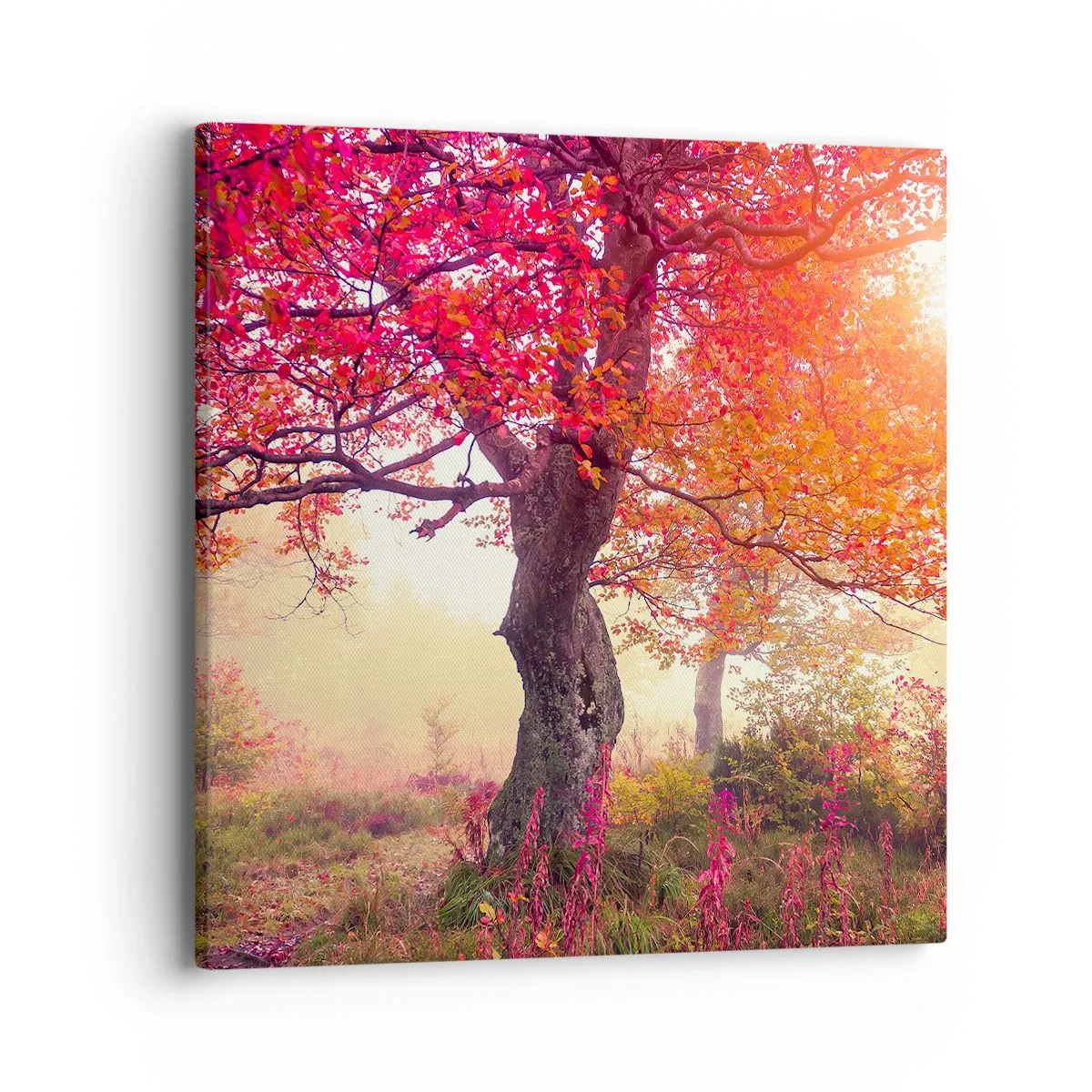 Obraz na plátně - Šílenství rozkvětu - 40x40 cm