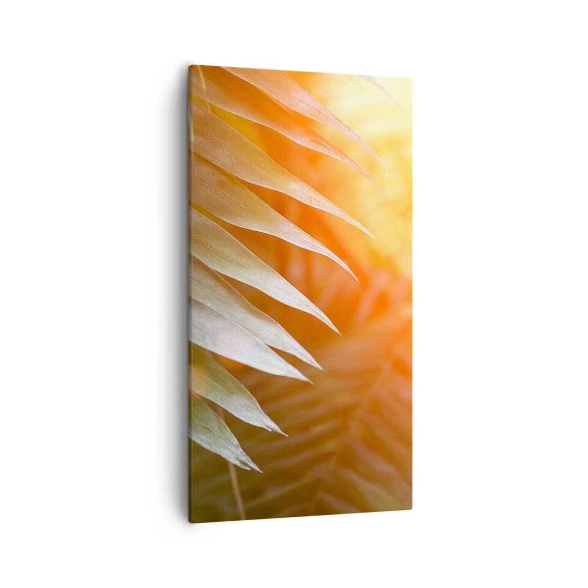 Obraz na plátně - Ráno v džungli - 55x100 cm