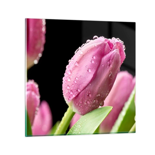 Obraz na skle - Liliový sen v rose - 30x30 cm