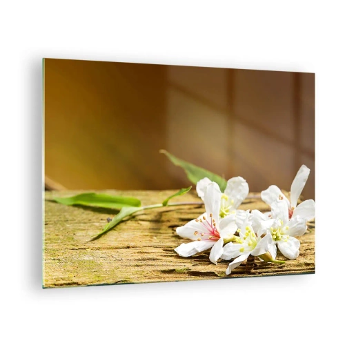 Obraz na skle - Bílé květy na dřevěném pozadí v teplém světle - 70x50cm - Nevinný slib - Moderní nástěnná dekorace do obývacího pokoje a ložnice ARTTOR