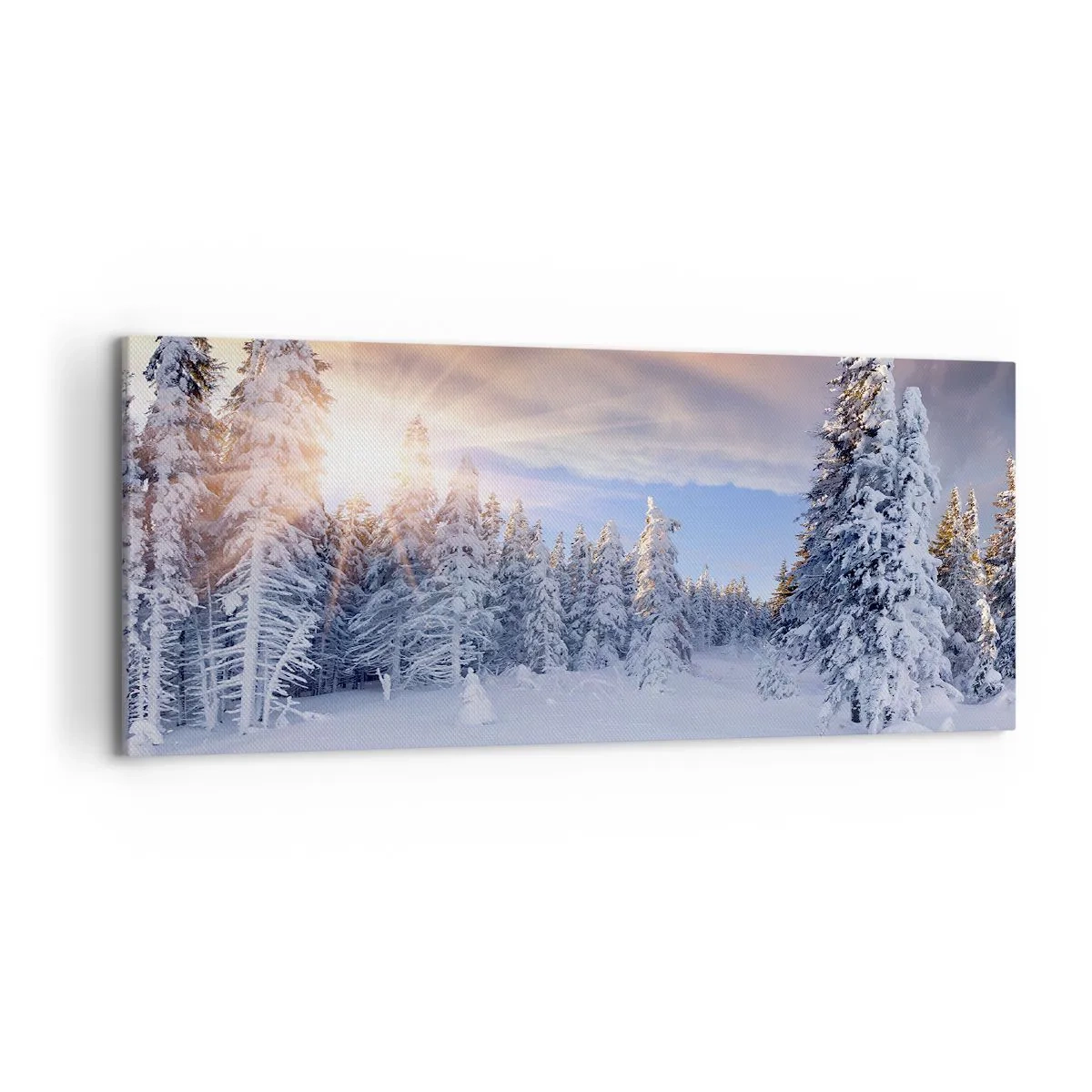 Obraz na plátně - Sněžné představení přírody - 120x50 cm
