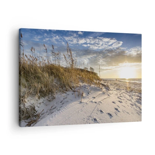 Obraz na plátně - Duny s trávou a stopami v písku při západu slunce - 70x50cm - Pozvánka na procházku - Moderní nástěnná dekorace do obývacího pokoje a ložnice ARTTOR