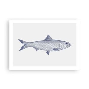 Plakát - Pozdravy ze severních moří - 70x50 cm