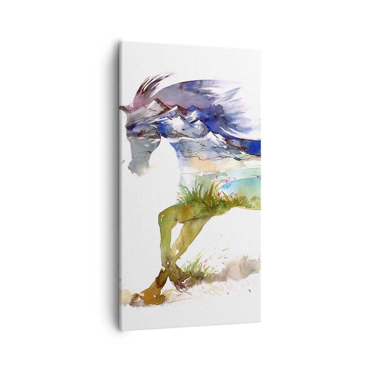 Obraz na plátně - Z louky přímo do nebe - 55x100 cm