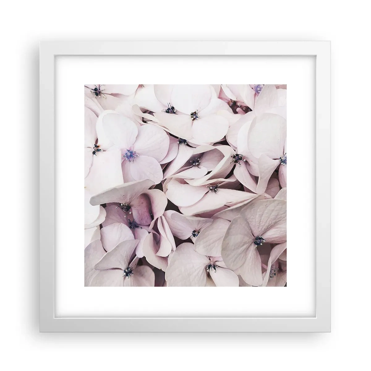 Plakát v bílém rámu - V záplavě květin - 30x30 cm