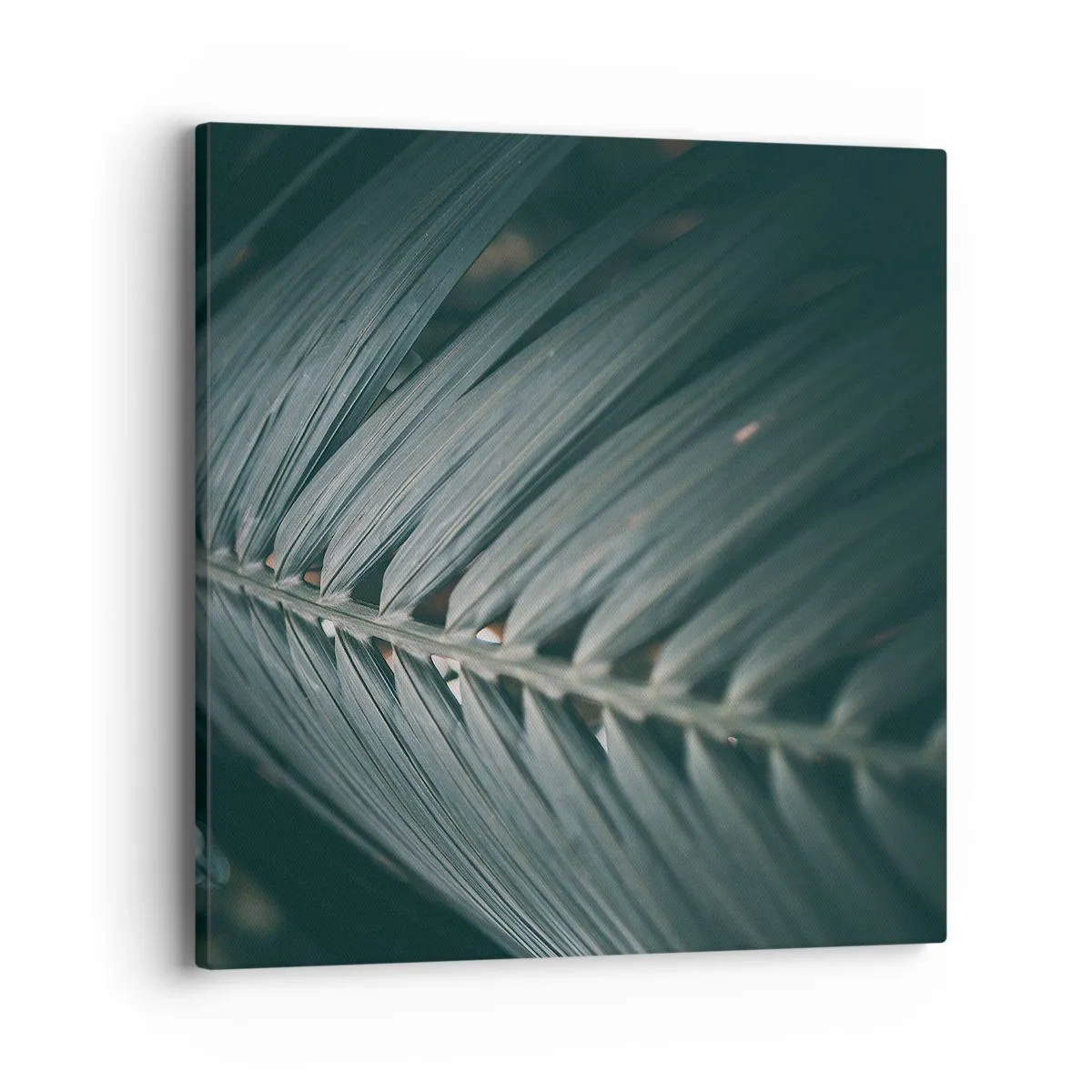 Obraz na plátně - Přesnost přírody - 40x40 cm