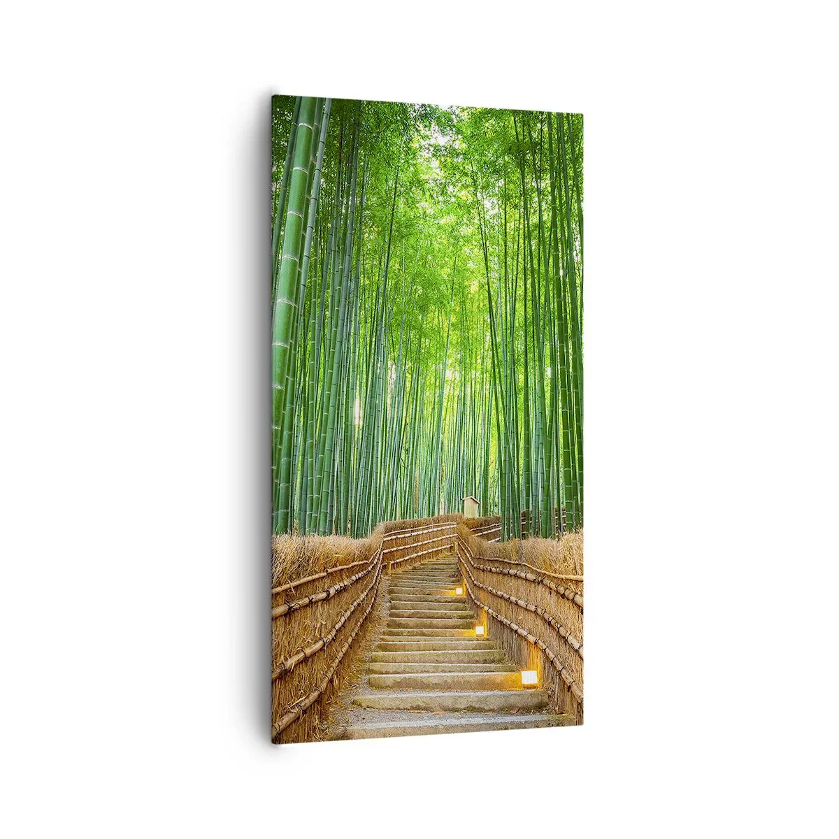 Obraz na plátně - Esence asijské přírody - 65x120 cm