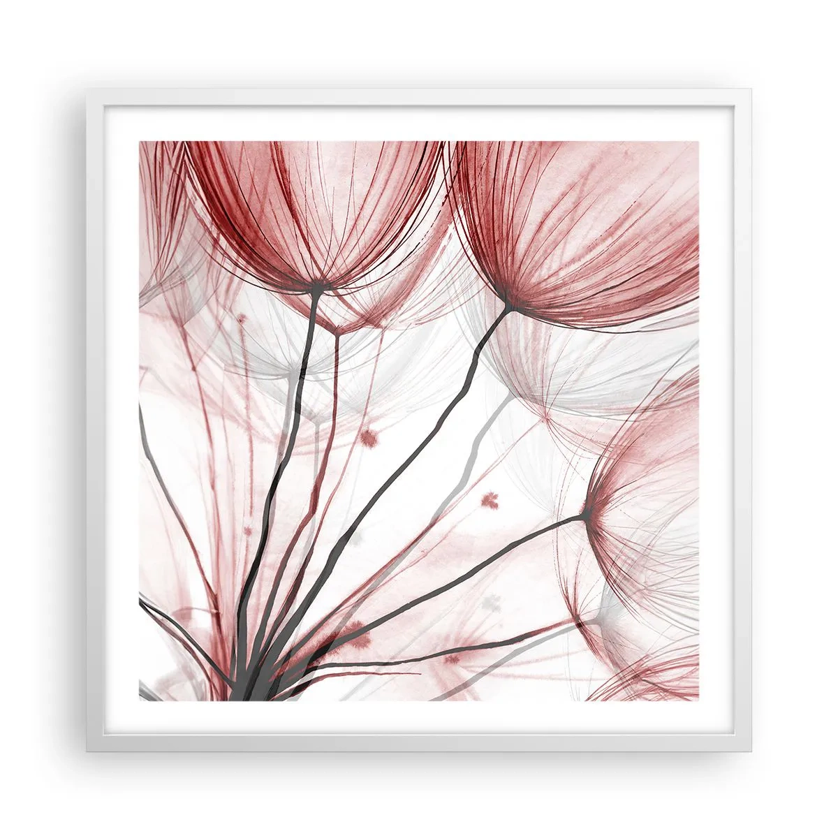 Plakát v bílém rámu - Před odletem - 60x60 cm