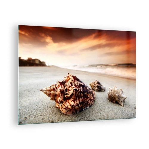 Obraz na skle - Mušle na pláži při západu slunce - 70x50cm - Vyvrženci vln - Moderní nástěnná dekorace do obývacího pokoje a ložnice ARTTOR