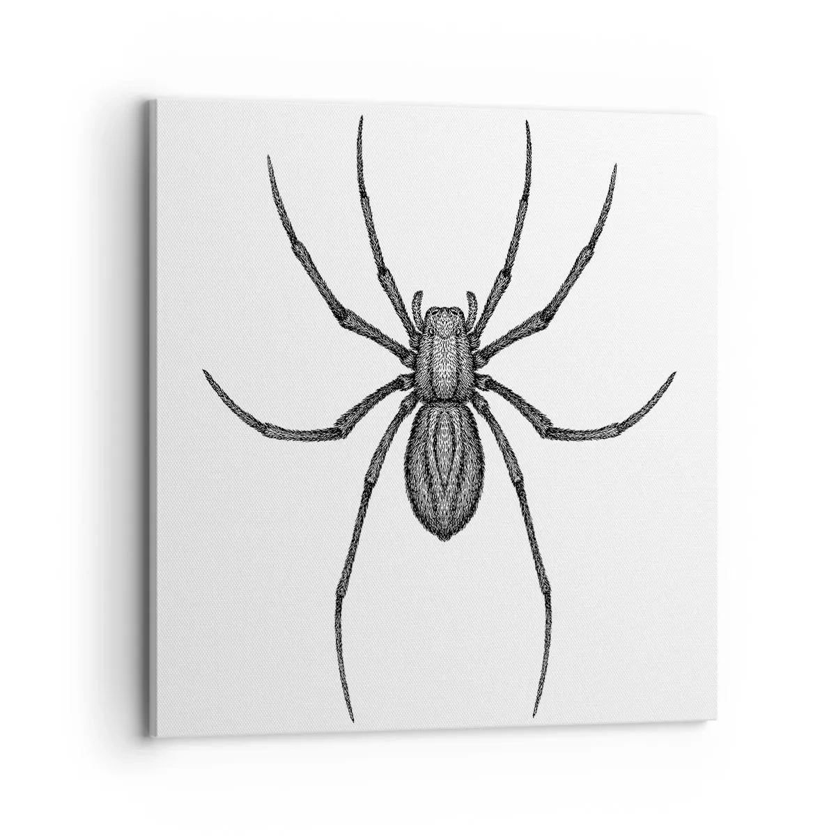 Obraz na plátně - Znepokojivá přesnost - 70x70 cm