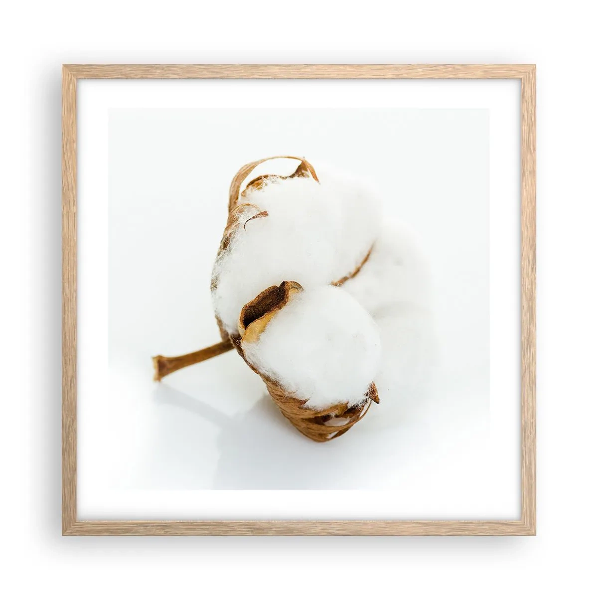 Plakát v rámu světlý dub - Měkká od přírody - 50x50 cm