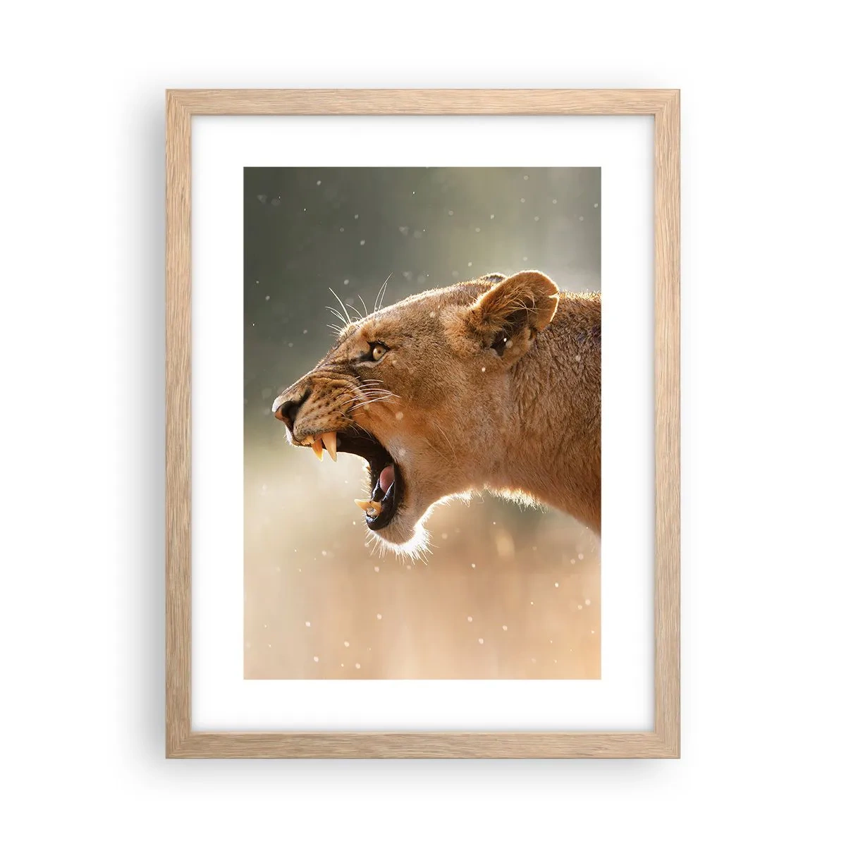 Plakát v rámu světlý dub - Snaž se neposlouchat - 30x40 cm