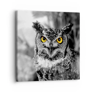 Obraz na plátně - Nic se neschová - 40x40 cm