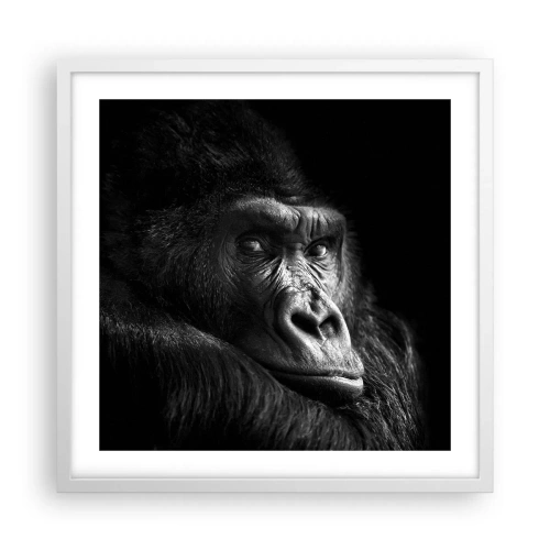 Plakát v bílém rámu - Na co tak koukáš? - 50x50 cm