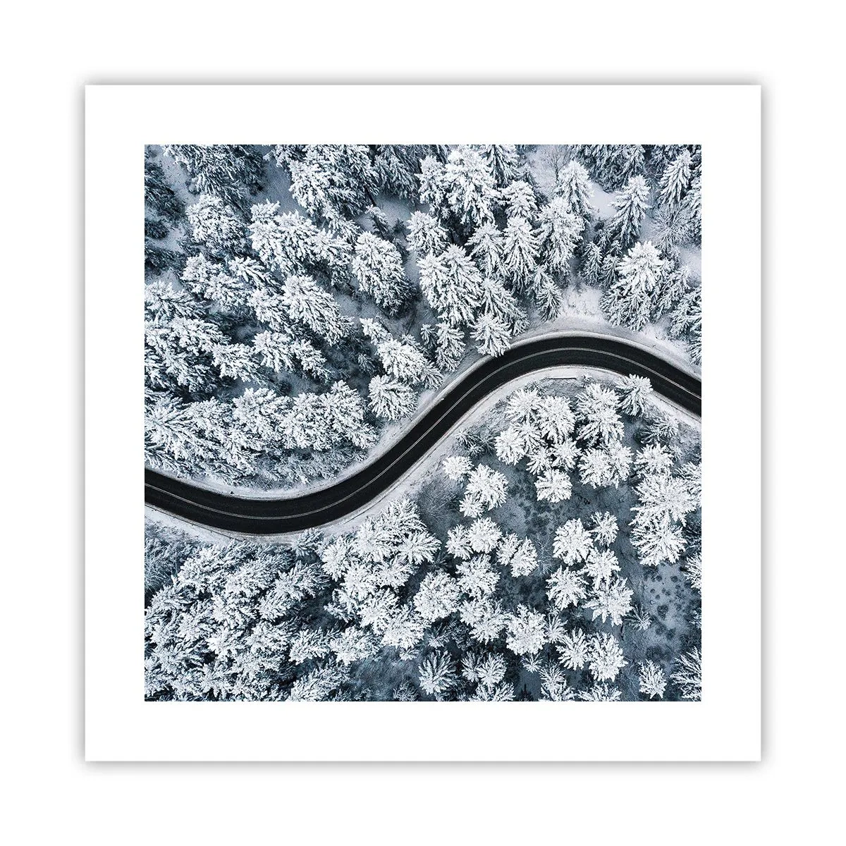 Plakát - Zimním lesem - 40x40 cm