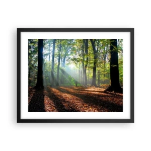 Plakát v černém rámu - Světla a stíny - 50x40 cm