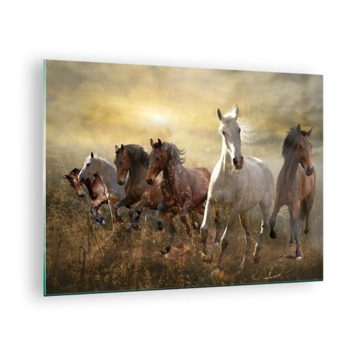 Obraz na skle - Stádo koní cválajících v paprscích zapadajícího slunce - 70x50cm - Ať žije svoboda! - Moderní nástěnná dekorace do obývacího pokoje a ložnice ARTTOR