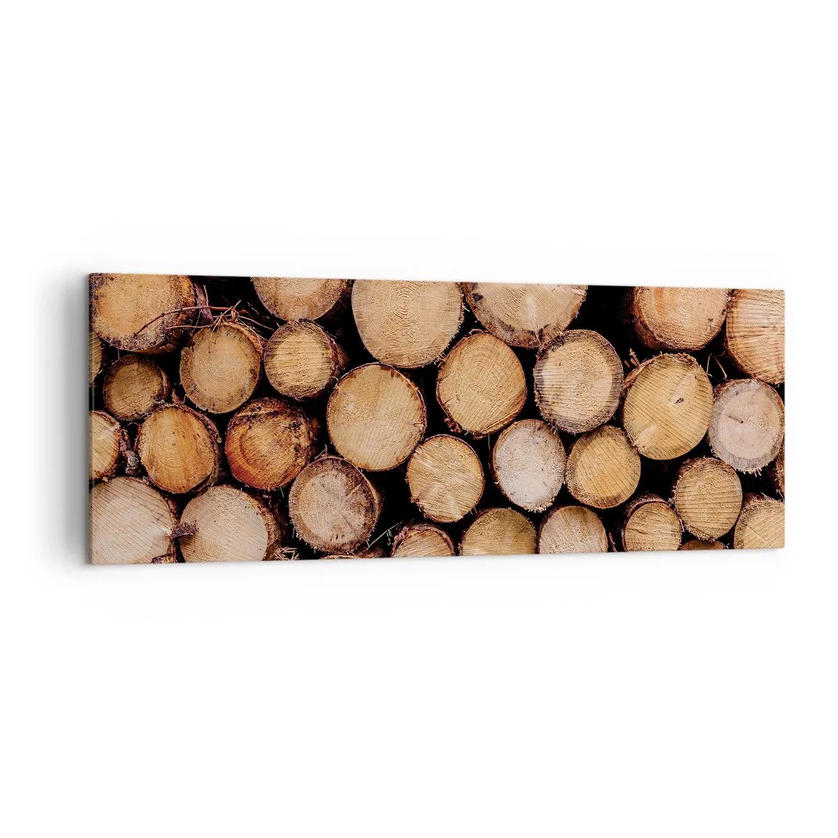 Obraz na plátně - Nový začátek - 140x50 cm