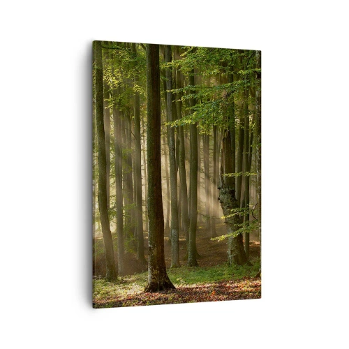 Obraz na plátně - Rozzářený v jarním ránu - 50x70 cm