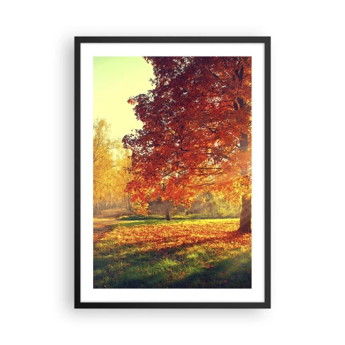 Plakát v černém rámu - Podzimní park se stromem se zlatými listy na slunci - 50x70cm - Rudé je krásné - Moderní nástěnná dekorace do obývacího pokoje a ložnice ARTTOR