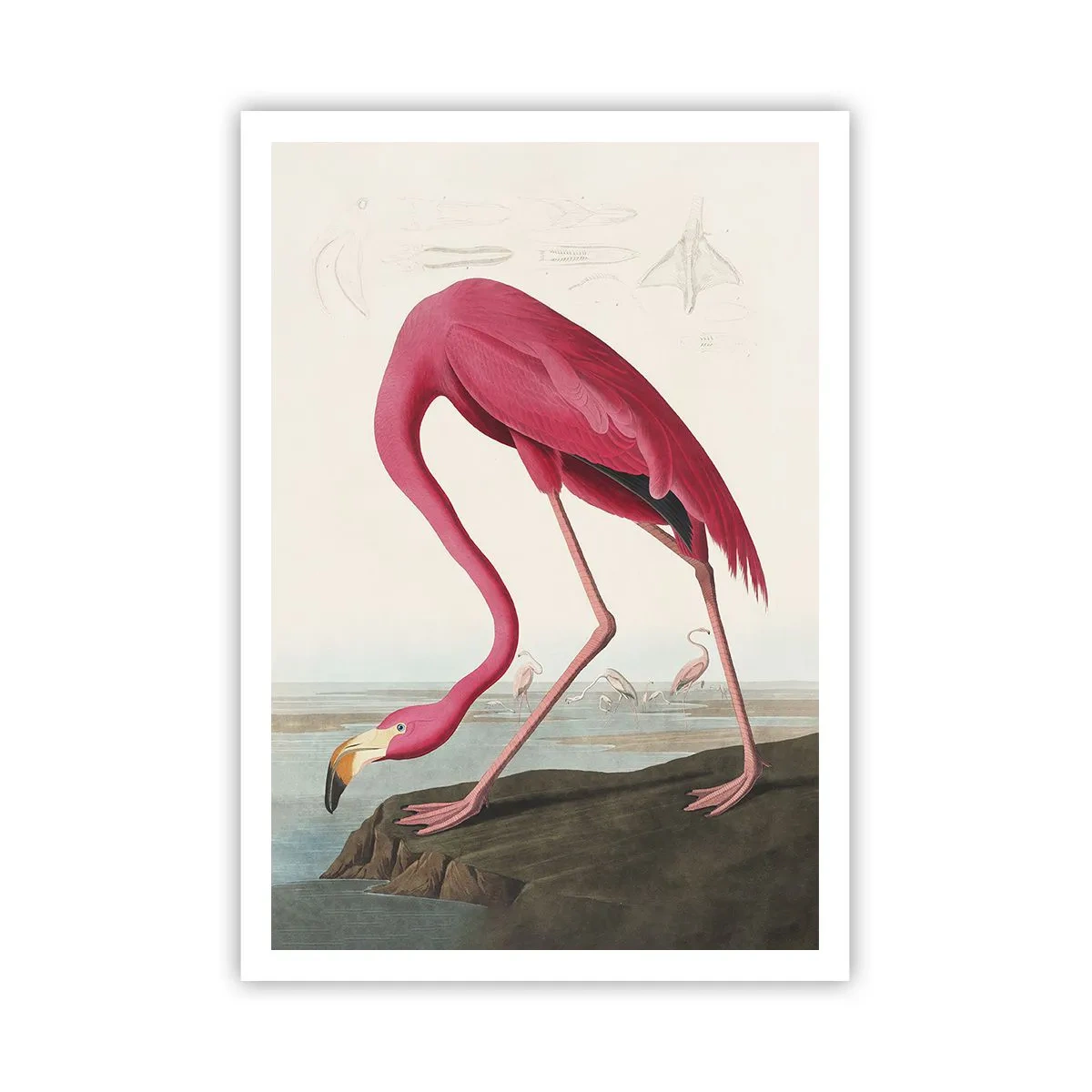 Plakát - Úžasná stvůra - 70x100 cm