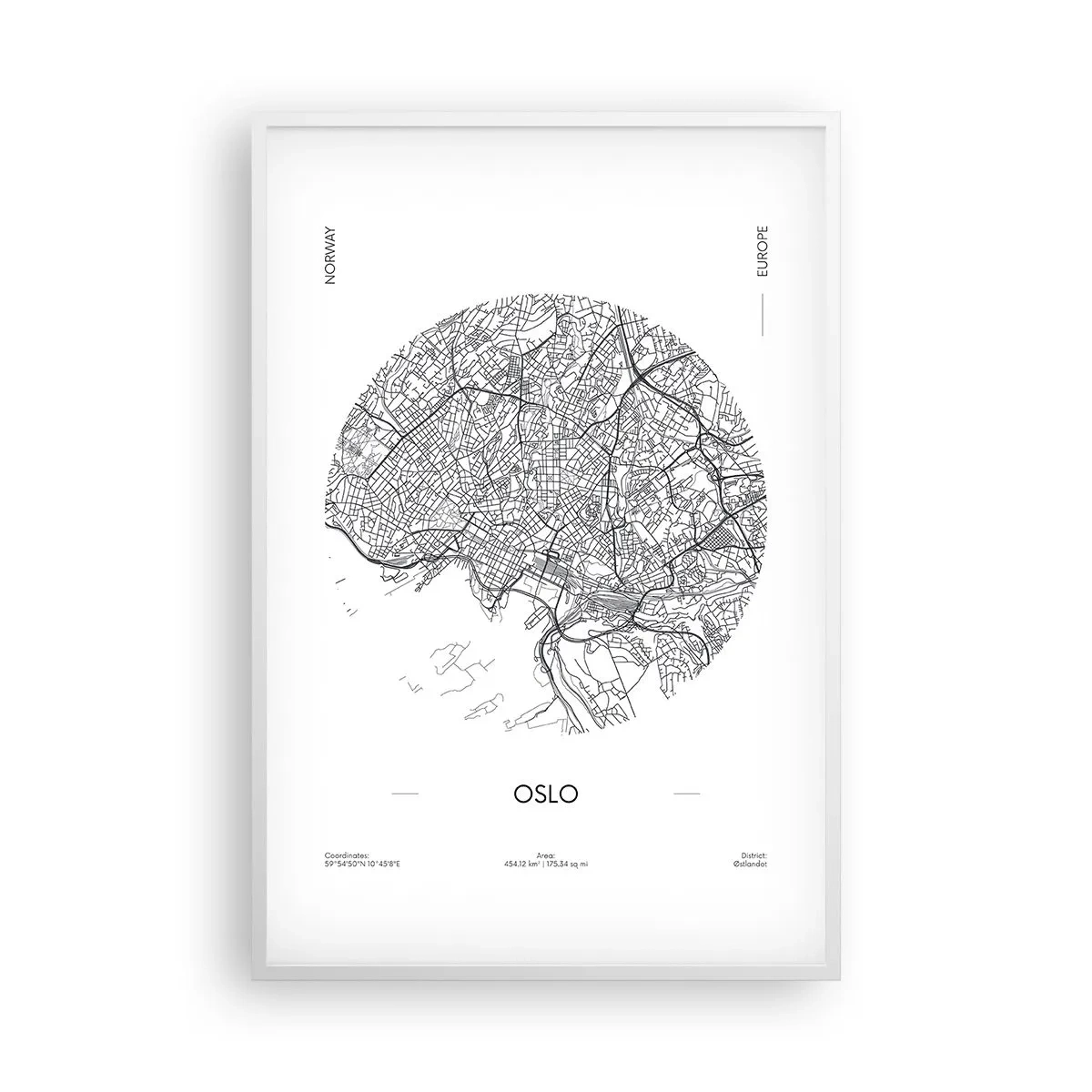 Plakát v bílém rámu - Anatomie Osla - 61x91 cm