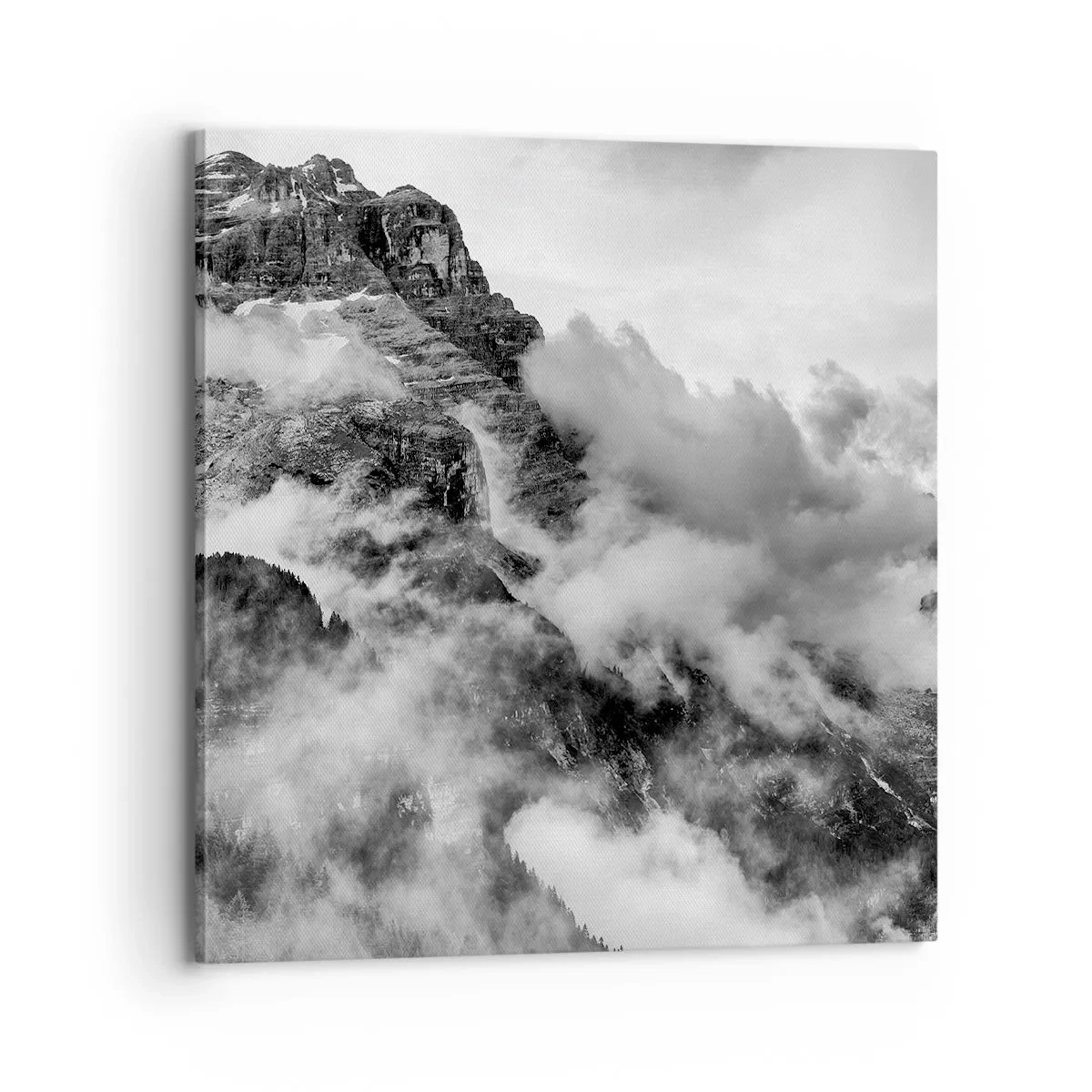 Obraz na plátně - Krásné a kruté - 70x70 cm