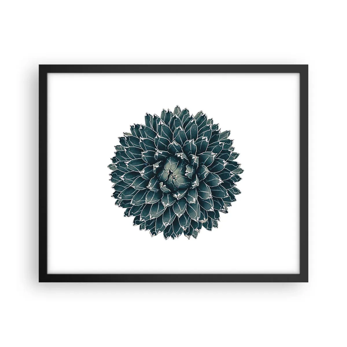 Plakát v černém rámu - Hvězda pouště - 50x40 cm
