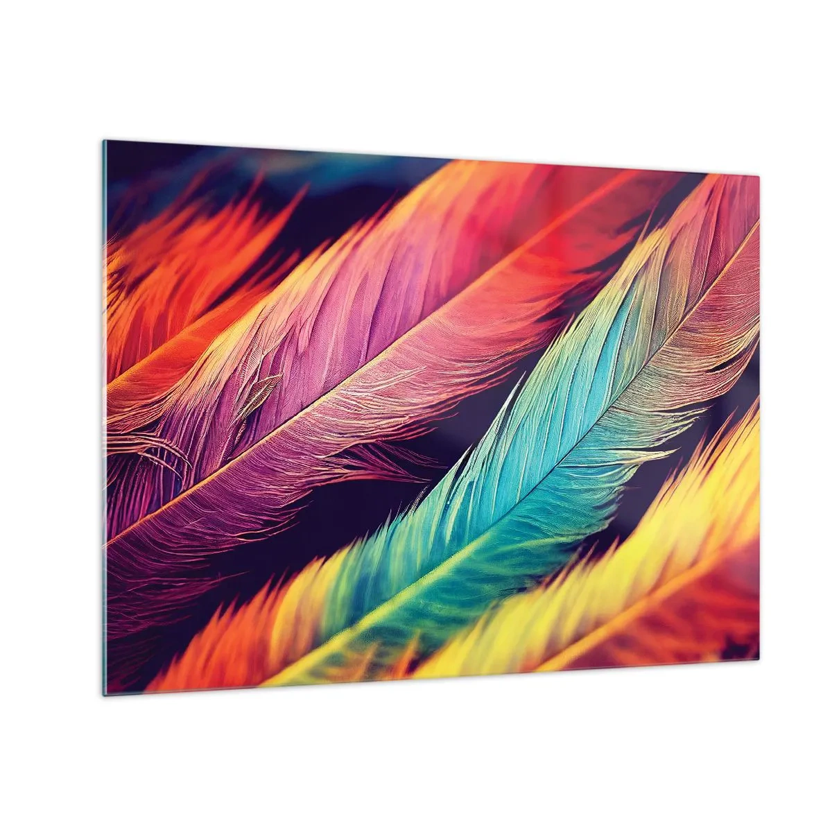 Obraz na skle - Opeřená duha - 70x50 cm