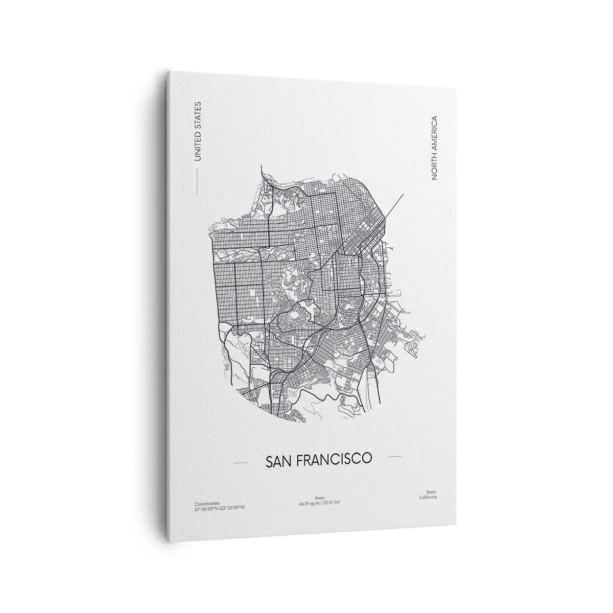 Obraz na plátně - Anatomie San Francisca - 70x100 cm