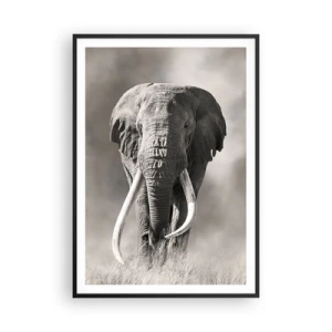 Plakát v černém rámu - Africký patriarcha - 70x100 cm