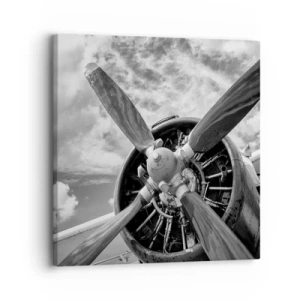 Obraz na plátně - Dobyvatel oblohy - 30x30 cm