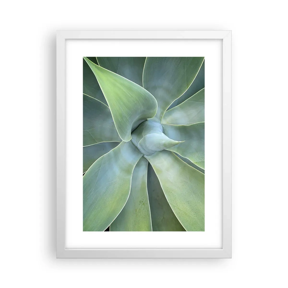 Plakát v bílém rámu - Zrození zeleně - 30x40 cm