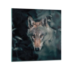 Obraz na skle - Predátor - 40x40 cm