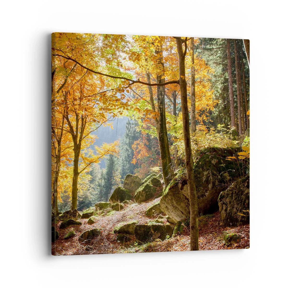 Obraz na plátně - Čas na odpočinek - 40x40 cm