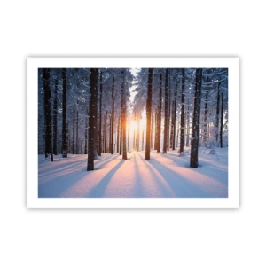 Plakát - Jasně černé na bílém - 70x50 cm