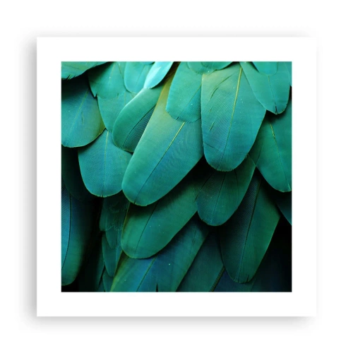 Plakát - Přesnost papouščí povahy - 40x40 cm