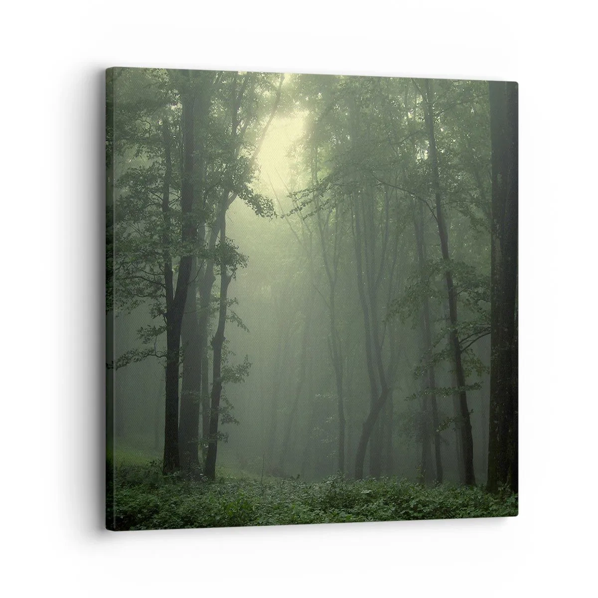 Obraz na plátně - Než se probudí - 30x30 cm