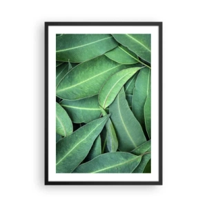 Plakát v černém rámu - Zelené listy uspořádané v husté kompozici - 50x70cm - Šťavnaté a svěží - Moderní nástěnná dekorace do obývacího pokoje a ložnice ARTTOR