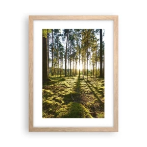 Plakát v rámu světlý dub - …Za sedmero lesy - 30x40 cm