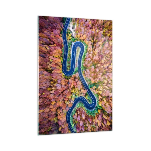 Obraz na skle - Klikatá cesta lesem - 50x70 cm