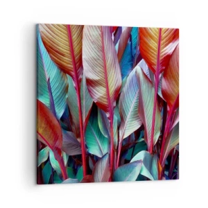 Obraz na plátně - Barevná houština - 50x50 cm