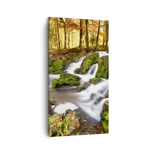 Obraz na plátně - Chvatem podzimním lesem - 45x80 cm