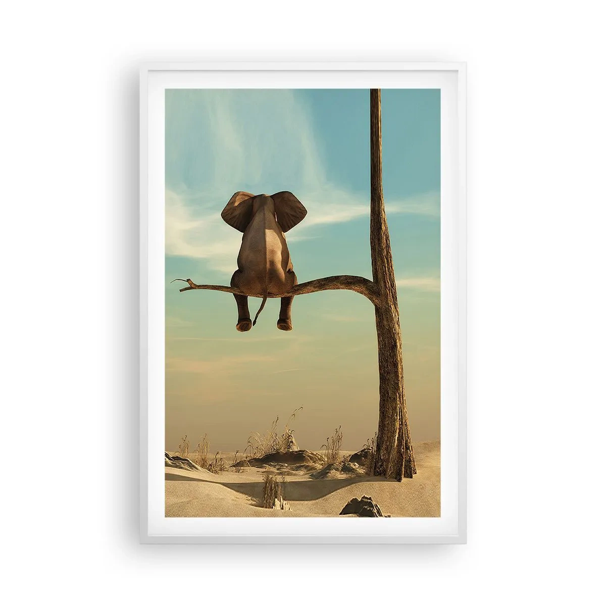 Plakát v bílém rámu - Nový úhel pohledu - 61x91 cm